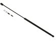 Ford Escort Trunk Strut - Trunk Shock - Sachs PartsMaster - 1993