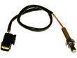 Walker 250-24804