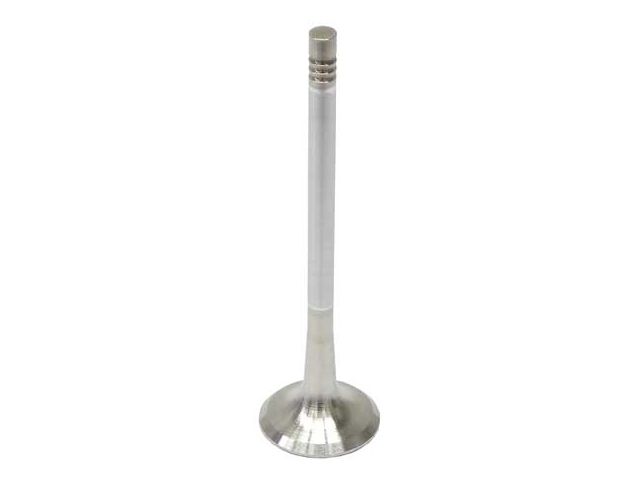 DNJ ROCK PRODUCTS INTAKE VALVE NEW AFTERMARKET IV950 TOYOTA 3VZ-E