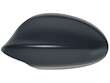 Door Mirror Housing