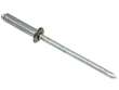 Window Regulator Rivet