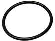 Fuel Pump O-Ring