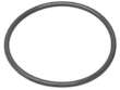 Thermostat O-Ring