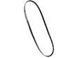 Accessory Drive Belt