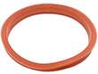 Fuel Pump Seal