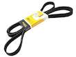 Accessory Drive Belt