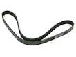 Accessory Drive Belt