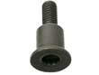 Timing Chain Guide Bolt