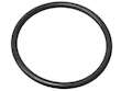 Water Pump Gasket
