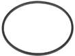 Fuel Pump Seal