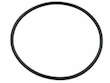 Coolant Thermostat Housing O-Ring