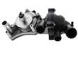 Engine Water Pump and Thermostat Assembly
