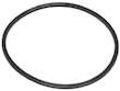 Fuel Pump and Level Sensor Module Seal