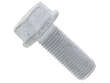 Caliper Bolt