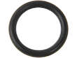 Auto Trans Oil Cooler O-Ring