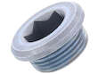 Differential Drain Plug