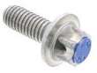 Engine Timing Chain Case Cover Bolt