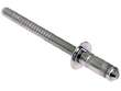 Window Regulator Rivet