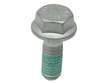 Caliper Bolt