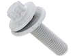 Caliper Bolt