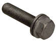 Caliper Bolt