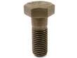 Caliper Bolt