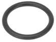 Oil Filter Housing O-Ring