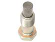 Timing Chain Tensioner Cylinder