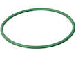 Fuel Pump and Level Sensor Module Seal