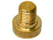 Fuel Pump Bolt
