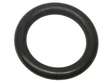 Turbocharger Drain O-Ring