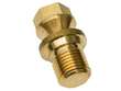 Fuel Pump Bolt