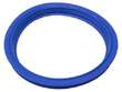 Fuel Pump and Level Sensor Module Seal