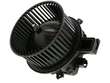 Blower Motor