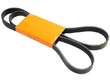 Accessory Drive Belt