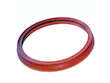 Fuel Pump Seal