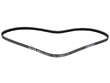 Accessory Drive Belt