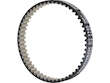 Timing Belt