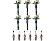 Ignition Coil and Spark Plug Kit