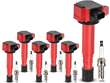Ignition Coil Set with Spark Plugs