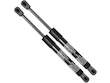 Hood Strut Set