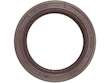 Timing Cover Gasket