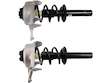 Strut and Coil Spring Assembly Set