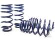 Coil Spring Lowering Kit / Shock Absorber Kit