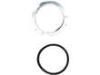 Fuel Pump Lock Ring