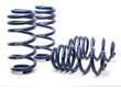 Coil Spring Lowering Kit / Shock Absorber Kit