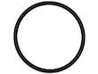 Fuel Pump O-Ring
