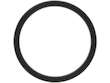 Thermostat Gasket