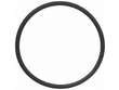 Coolant Thermostat Housing O-Ring