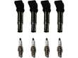 Ignition Coil Set with Spark Plugs